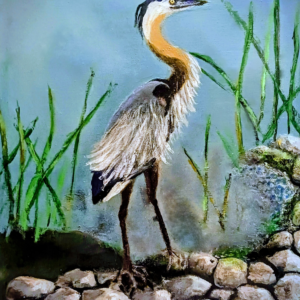 Great Blue Heron