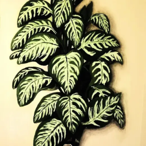 dumb cane plant example of wall murals for art services page