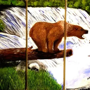 wildlife collection product of a grizzly bear fishing off a log over-hanging a fast river for salmon