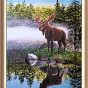 a bull moose in a foggy swamp