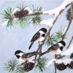 nature inspired artwork featuring a trio of chickadees in a pinetree -chickadee art