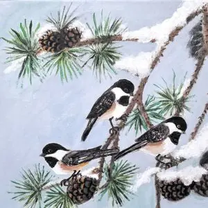 nature inspired artwork featuring a trio of chickadees in a pinetree -chickadee art