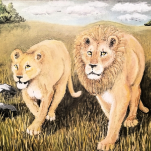 a mated pair of lion stide across the savanna